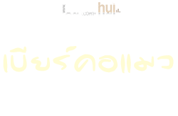 เบียร์คอแมว