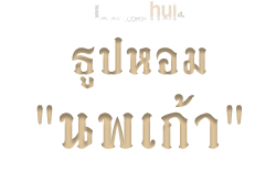 ธูปหอม "นพเก้า"