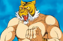 หน้ากากเสือ 2